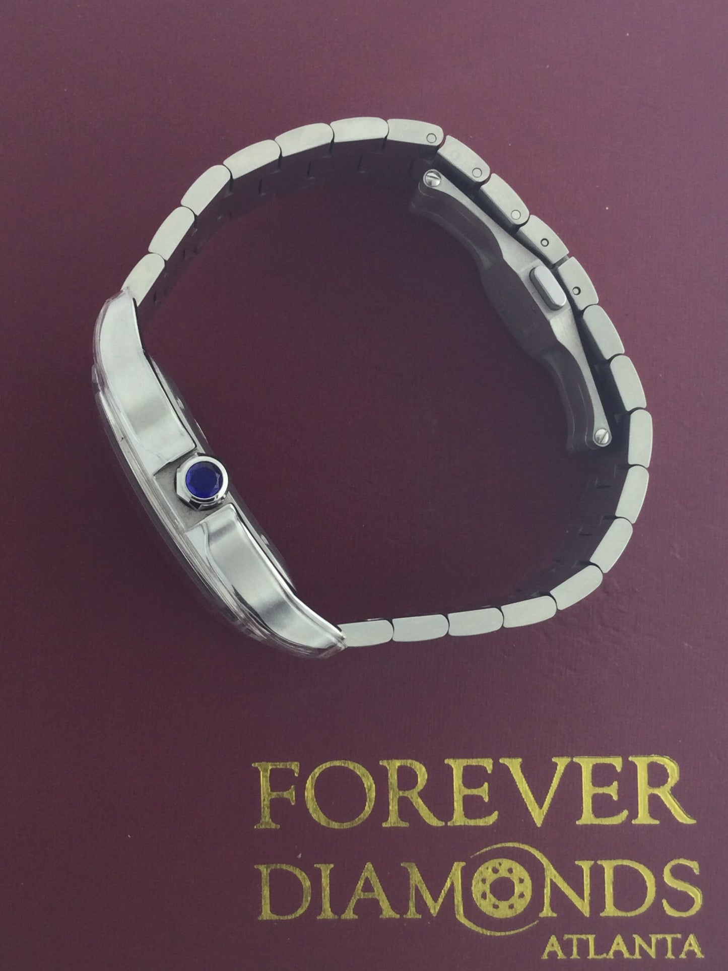Cartier Cartier Santos Stainless Steel Blue